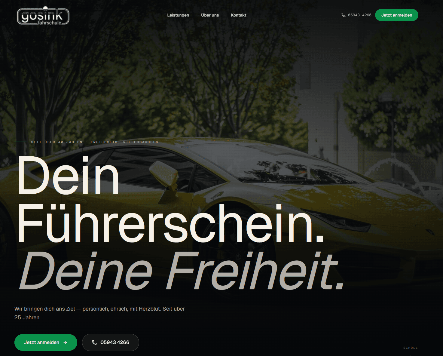 Screenshot von Fahrschule Gosink